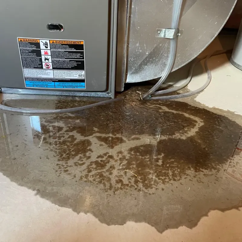 Appliance Leak Cleanup in Afton, OK